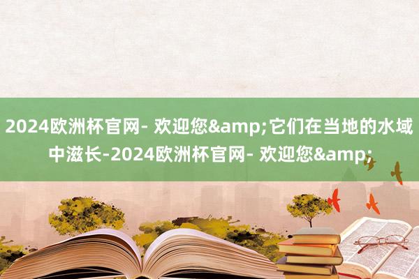 2024欧洲杯官网- 欢迎您&它们在当地的水域中滋长-2024欧洲杯官网- 欢迎您&