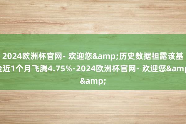 2024欧洲杯官网- 欢迎您&历史数据袒露该基金近1个月飞腾4.75%-2024欧洲杯官网- 欢迎您&