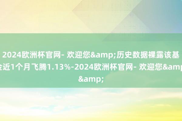 2024欧洲杯官网- 欢迎您&历史数据裸露该基金近1个月飞腾1.13%-2024欧洲杯官网- 欢迎您&